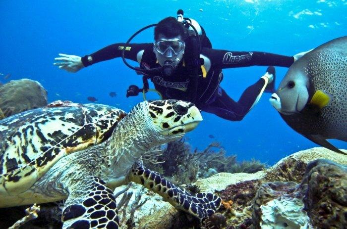 Scuba Diving Goa